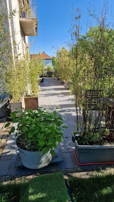 Gite La Passerelle Lejlighed Ostheim Eksteriør billede